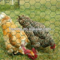 hexagonal decorative chicken wire mesh hexagonal wire mesh(Factory)